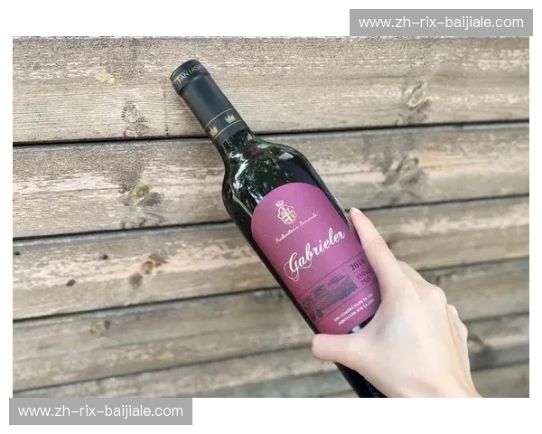 醇酿之心:波尔多与维迪奥——一场跨越时空的葡萄酒对话 醇酿之心:波尔多与维迪奥——一场跨越时空的葡萄酒对话